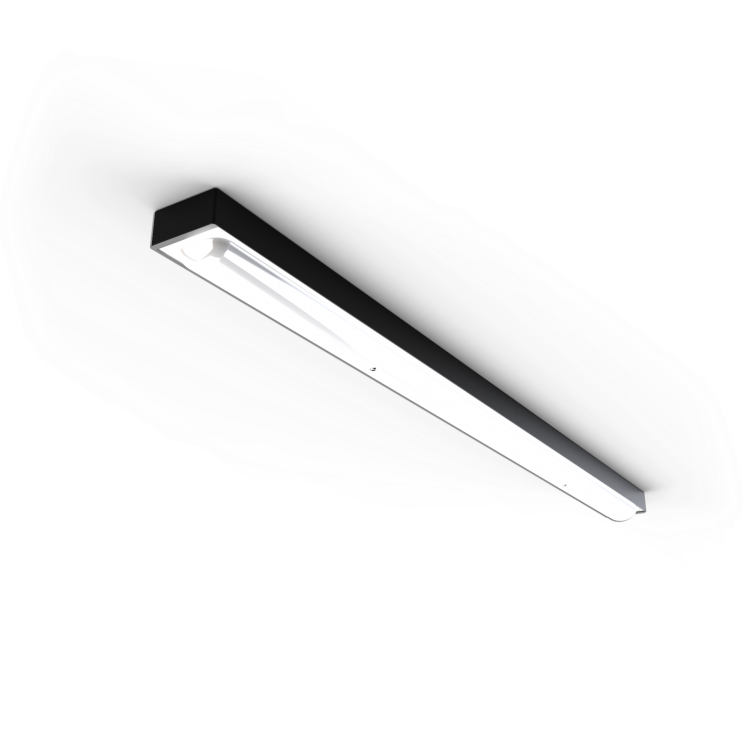 Easylux Easylux